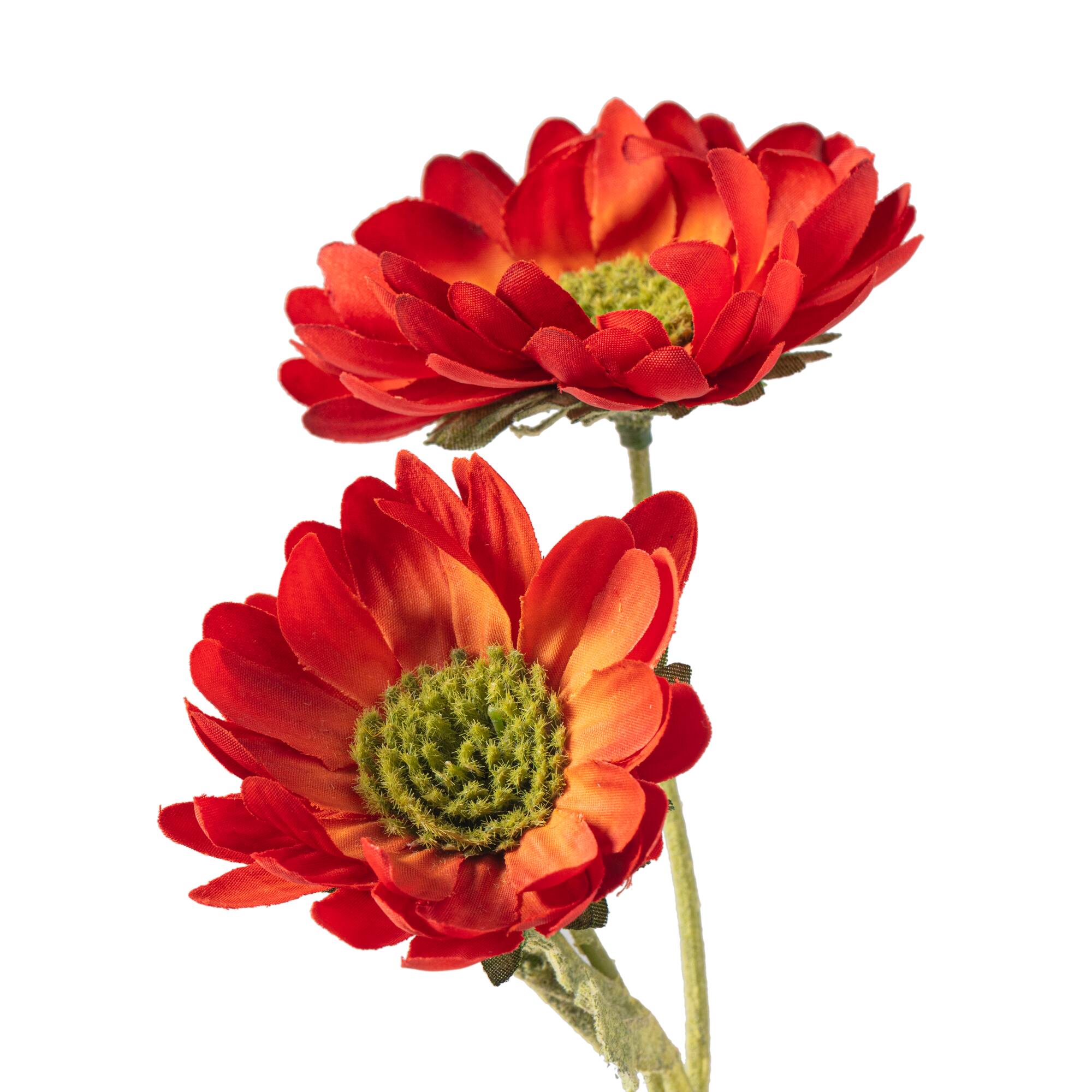 12 Pack: Rust Daisy Mum Spray by Ashland®